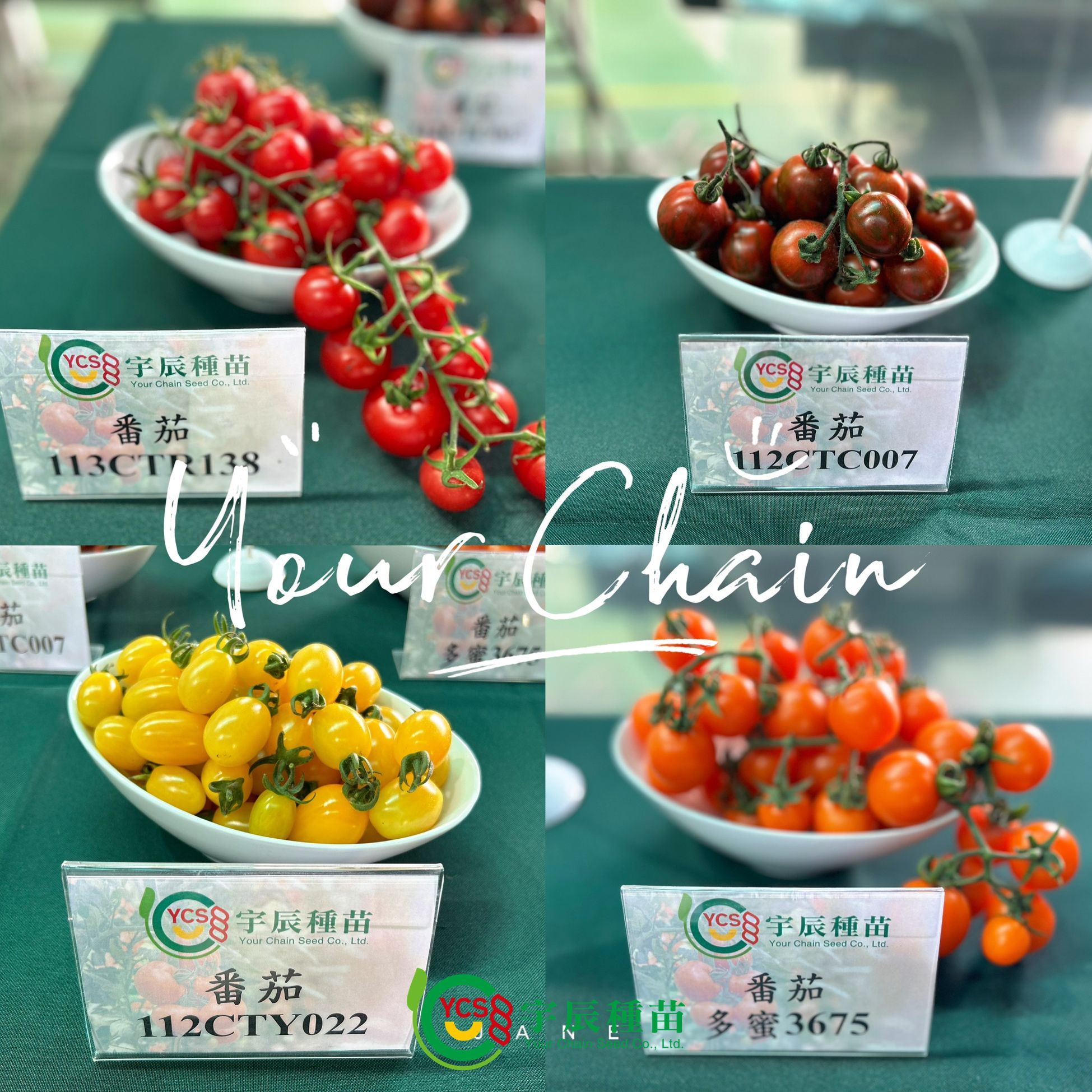 🎊⟡東海大學智慧暨精緻農業學位學程⟡🎊