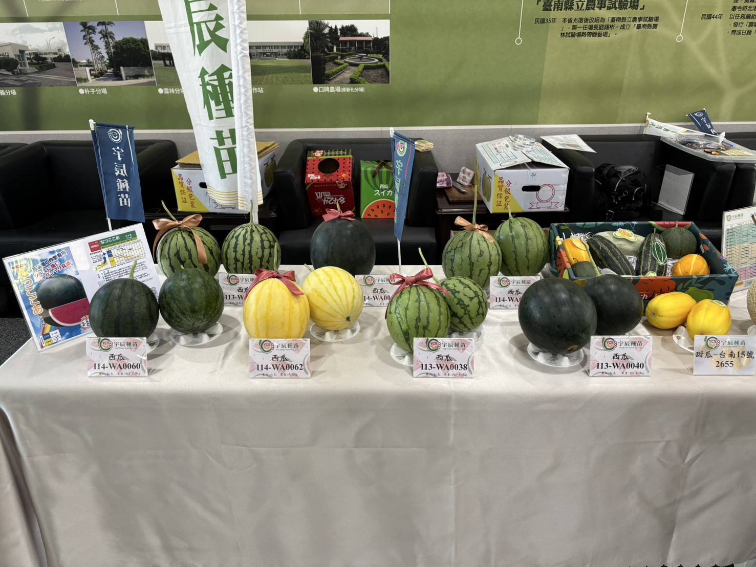 🍈𝟮𝟬𝟮𝟱瓜果嘉年華🍉