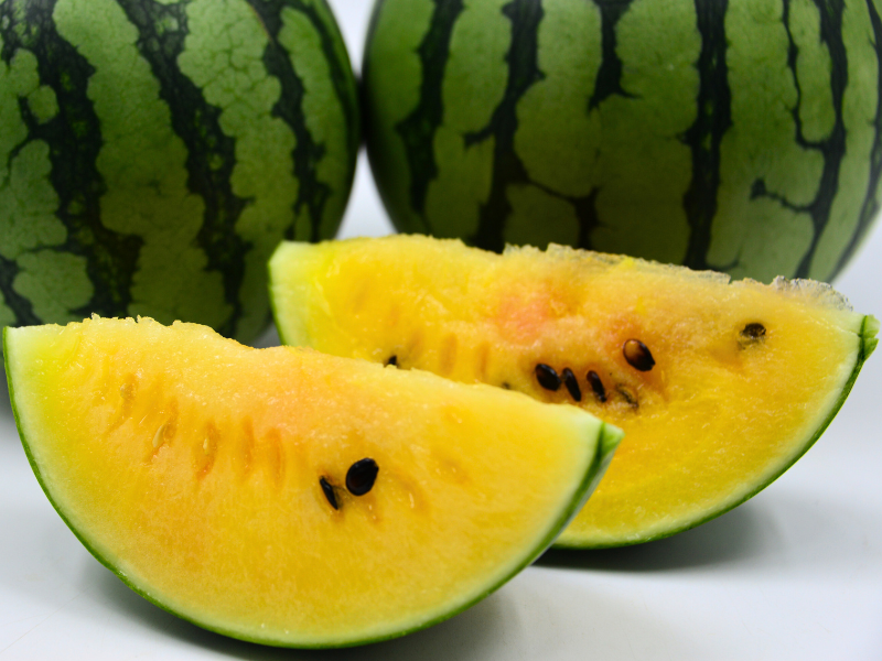 西瓜-黃肉 Watermelon Yellow
